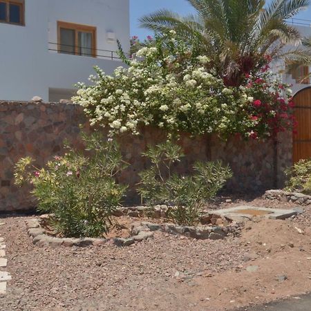 Red C Villas Dahab Luaran gambar