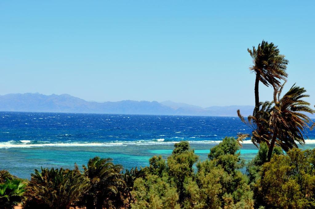 Red C Villas Dahab Bilik gambar