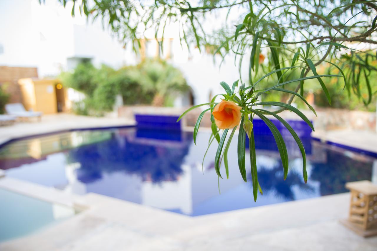Red C Villas Dahab Luaran gambar